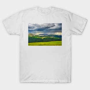 Trail Ridge Road Study 2 T-Shirt